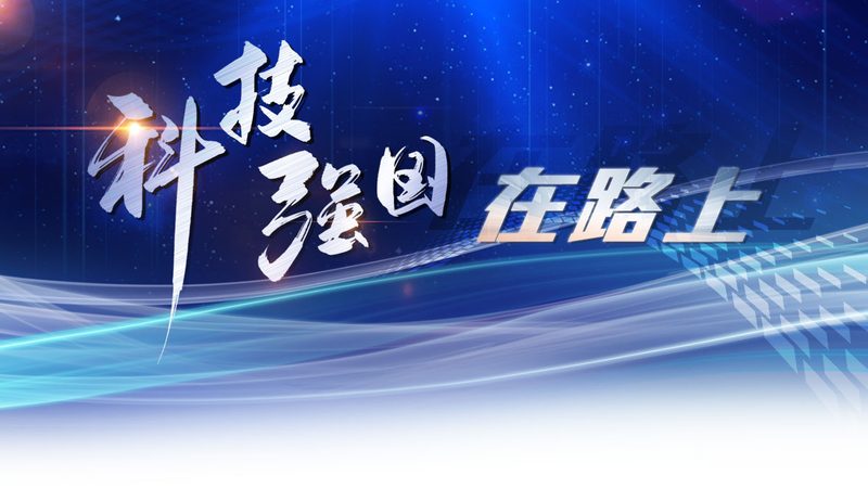 SaaS平台数据安全配置：关键参数与最佳实践